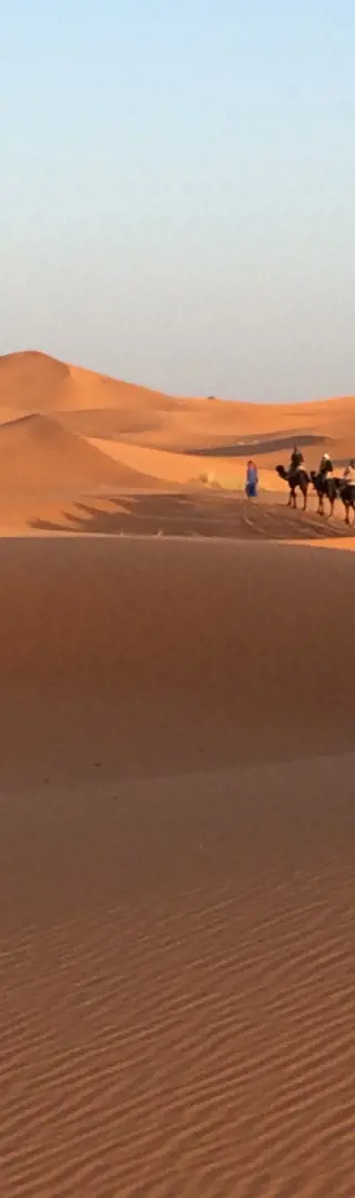 Per Kamelkarawane zum Wüstencamp